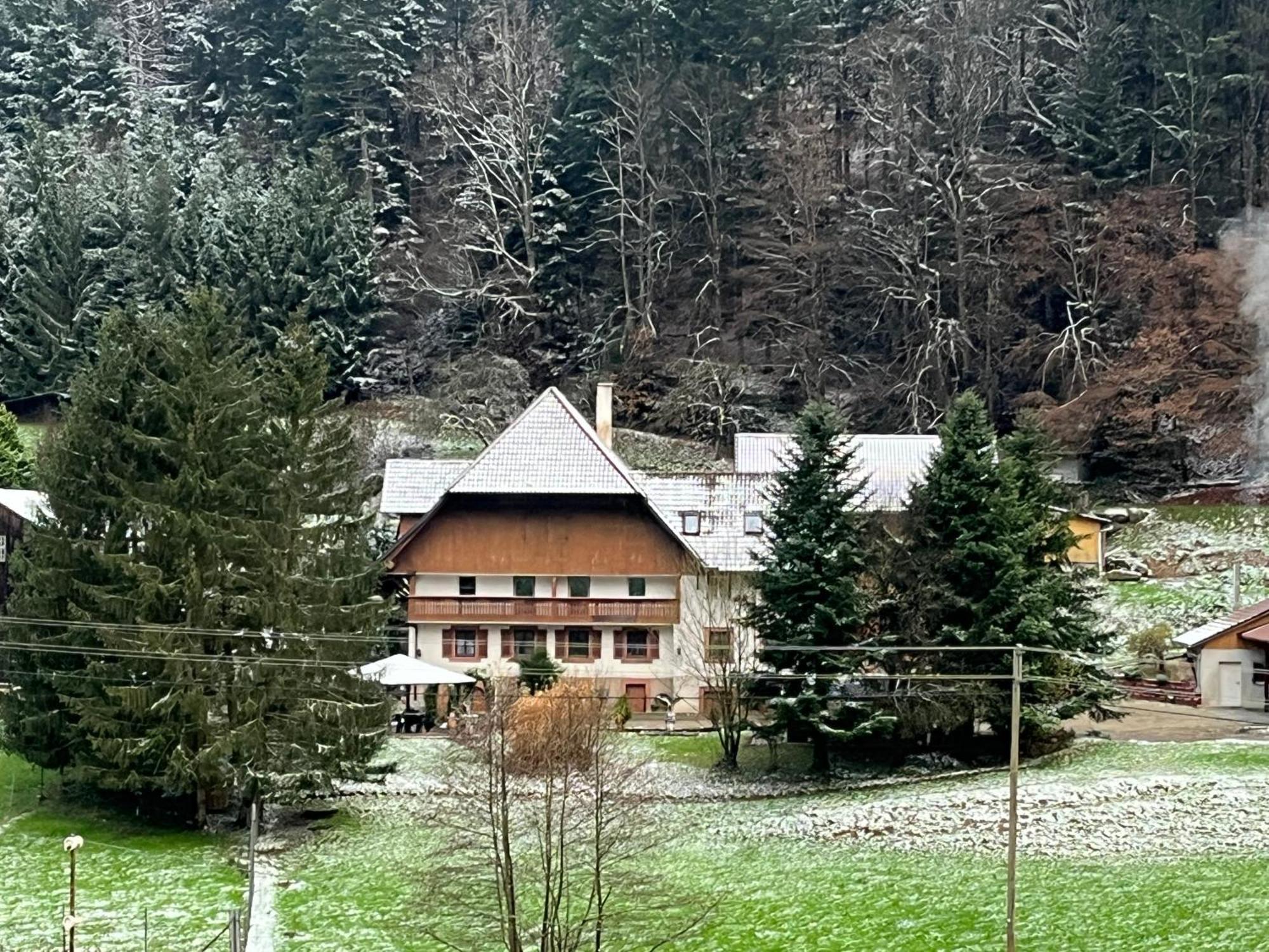 Geraeumige Wohnung Im Schwarzwald Seelbach  Luaran gambar